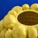 WERNS Lemons Yellow Vas 26cm