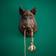 WERNS Wild Boar Pig Willy Brown Vægarmatur