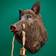 WERNS Wild Boar Pig Willy Brown Vægarmatur