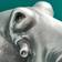 WERNS Octopus Otto Silver Bordslampa 54cm