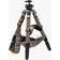 ATHLON Midas CF40