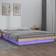 vidaXL LED Solid Wood Bettrahmen