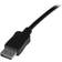 StarTech DISPL10MA DisplayPort - DisplayPort M-M 32.8ft