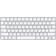 Apple Magic Keyboard Chinese (Pinyin)