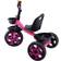 Kids Tricycles