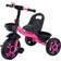 Kids Tricycles