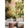 Origin Murals Jungle Trees Mural - Olive - 0.01 x 300 x 240 cm Wall Decor