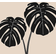 Daells Bolighus Monstera Deliciosa Black Plakat 50x70cm