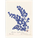 Daells Bolighus Botanical Fern III Blue/Beige Plakat 50x70cm