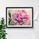 Marlow Home Co. Joyous Peony Flower Black Framed Art 34x46cm