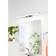 Eglo Morwenna 1-Light LED Flush Mount - Chrome (4 cm H x 60 cm W) Wall light