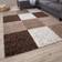 THE RUGS Myshaggy Brown, White 120x120cm