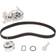 Gates KP25577XS Cinghia Distribuzione CVT Belt
