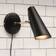 Northern Birdy Black/Steel Wall light