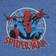 Disney Kid's Marvel Spider-Man T-shirt - Heather Blue