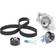 INA Water Pump & Timing Belt Set 530 0449 30
