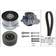 INA Water Pump & Timing Belt Set 530072430
