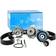 SKF Water Pump & Timing Belt Set VKMC 01255-1