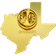 Pinmart Texas Pin - Gold/Multicolour