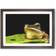 East Urban Home Frog Vol.2 Walnut Framed Art 65x48cm