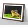 East Urban Home Frog Vol.2 Walnut Framed Art 65x48cm