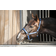 Catago Halter For Horse - Rouge