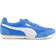 Puma Arizona, Blue