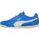 Puma Arizona, Blue