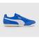 Puma Arizona, Blue