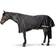 Back On Track Outdoor Horse Blanket Brianna - Noir