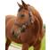 Kerbl Nylonhalfter Hippo, Pony