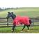 Weatherbeeta Comfitec Classic Standard Neck Turnout Rug
