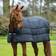 Horseware Rambo Optimo liner 200g