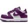 Nike Dunk Low Viotech TD - White