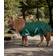 Waldhausen Outdoor Blanket Shetty Light - Vert