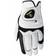 Hirzl Handschuh Hybrid Plus+ RH x2