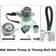 INA Water Pump & Timing Belt Set 530 0650 30