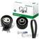INA Timing Belt Set 530069110