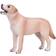 Mojo Labrador 387271