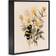 Stupell Industries Honeybee with Daisies Black Framed Art 12x12"