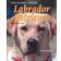 Training Your Labrador Retriever (Häftad, 2009)