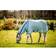 Horseware Flugtäcke Amigo Bug Rug Ljusblå (160)