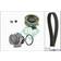 INA Pompa Acqua + Kit Cinghia Distribuzione VW SKODA SEAT 530 0171 30 06A109119B 06A109119C 06A109119D