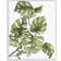 Stupell Industries Falling Monstera Leaves White Framed Art 11x14"