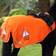 Shires Equi-Flector Mesh Exercise Sheet Orange 54&quot
