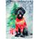 Caroline's Treasures Giant Schnauzer Christmas Garden Flag 71.1x101.6cm