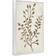 Stupell Industries Garden Botanics Sprig White Framed Art 12x18"