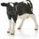 Schleich Holstein Calf 13798