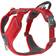 Dog Copenhagen Comfort Walk Pro XL