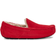 UGG Ascot - Samba Red